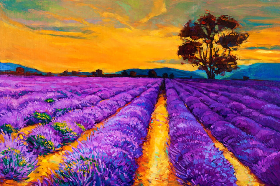 Original oil painting of lavender field rows