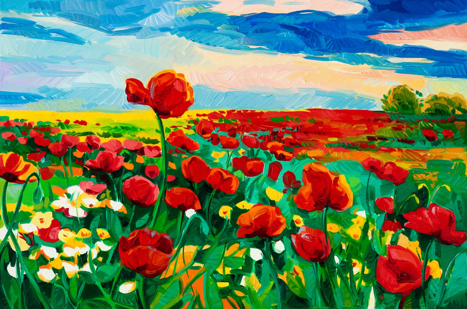 Opium poppy field in front of beautiful