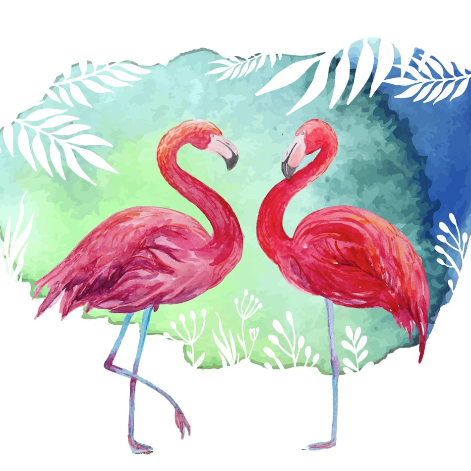 Flamingos Watercolor Tropical Illustration 2