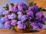 Oil painting on canvas - a bouquet of lilacs