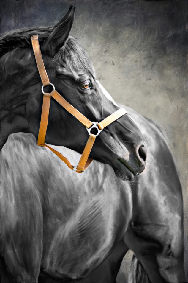 Painting portrait of a horse