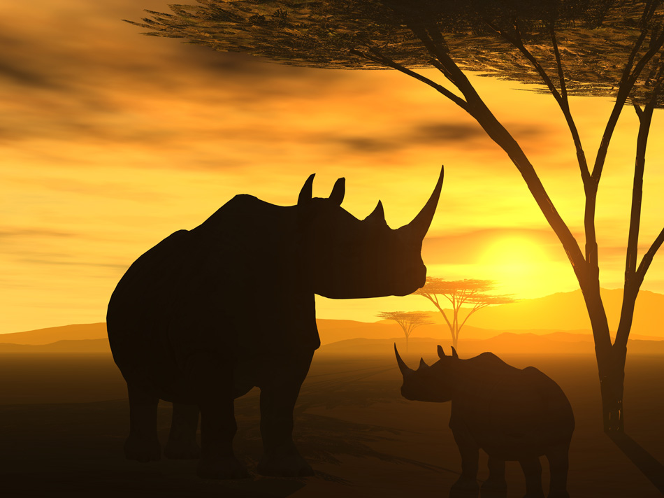 Safari African Spirit - Rhinoceros