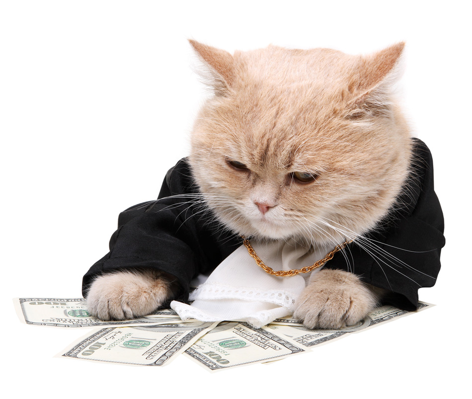 Red Cat Sitting On The Dollar