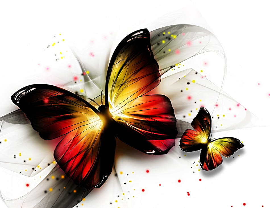 Two Butterflys On A Light Background