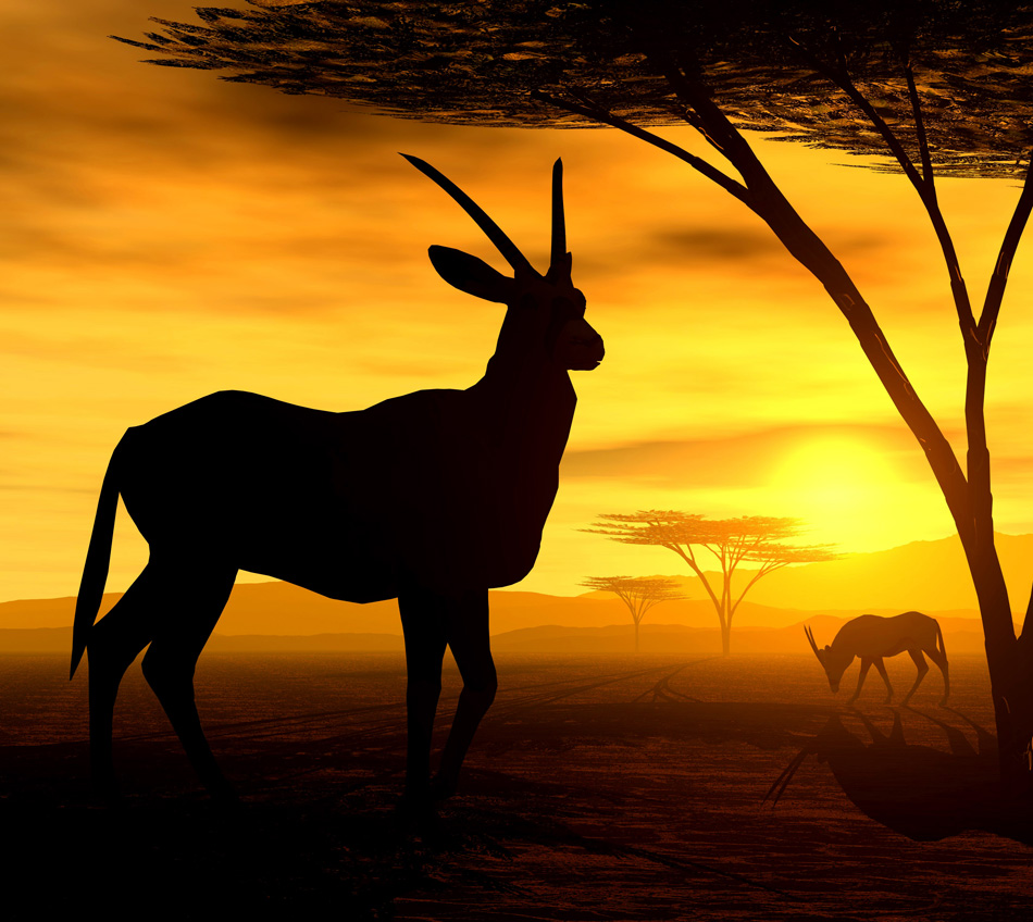 Safari African Spirit - Antilope