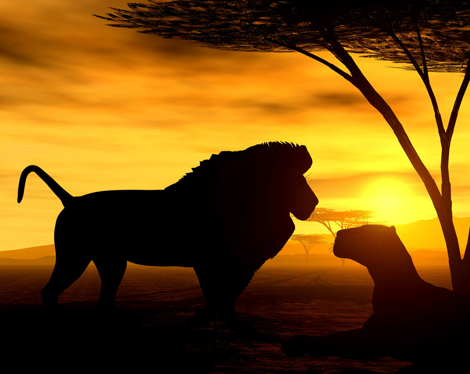 Safari African Spirit - Lion And Cub