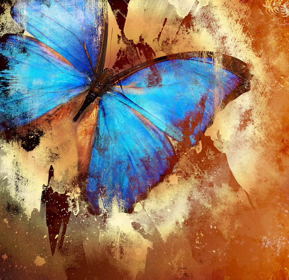 Painted Butterfly - Illustration In Grunge Style