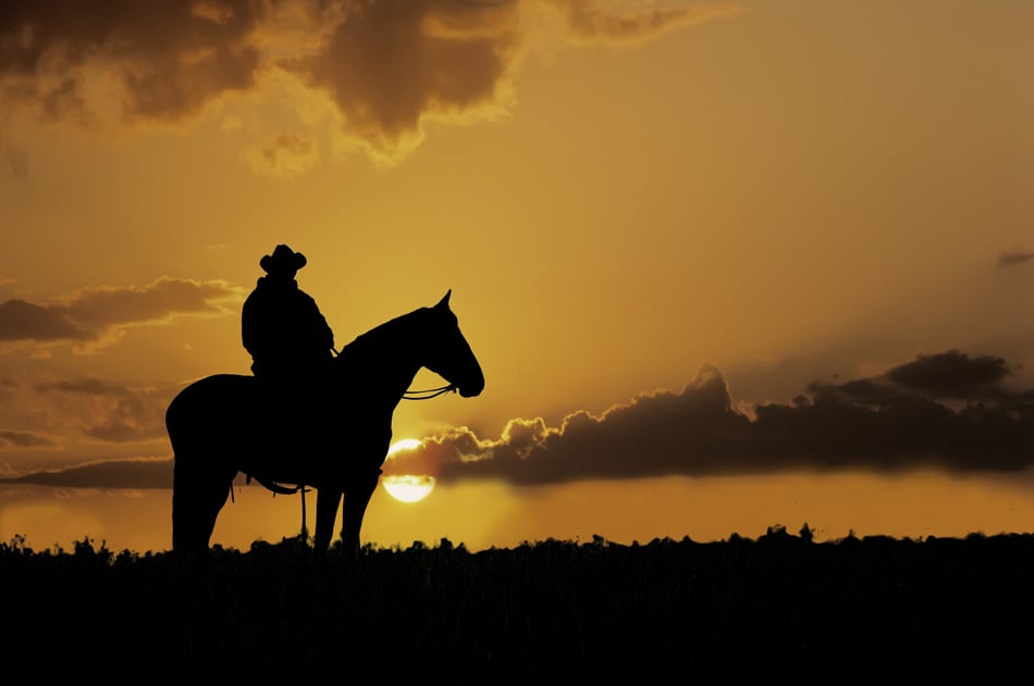 Cowboy  On Horseback And The Setting Sun