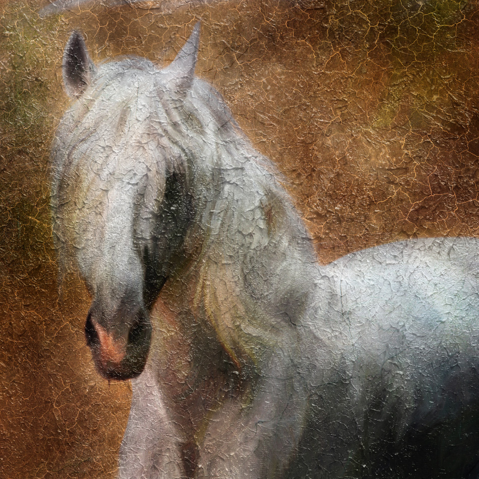 Andalusian horse portrait Simulation of old painting style