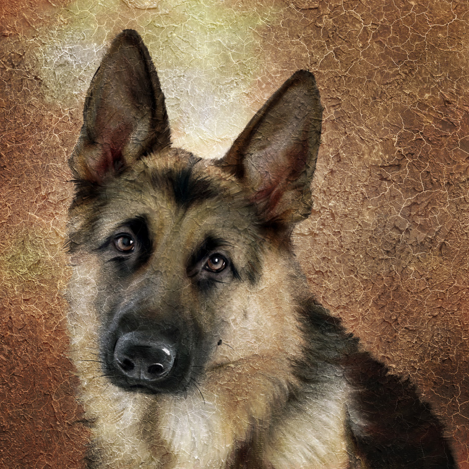 German shepherd portrait Simulation of old painting style