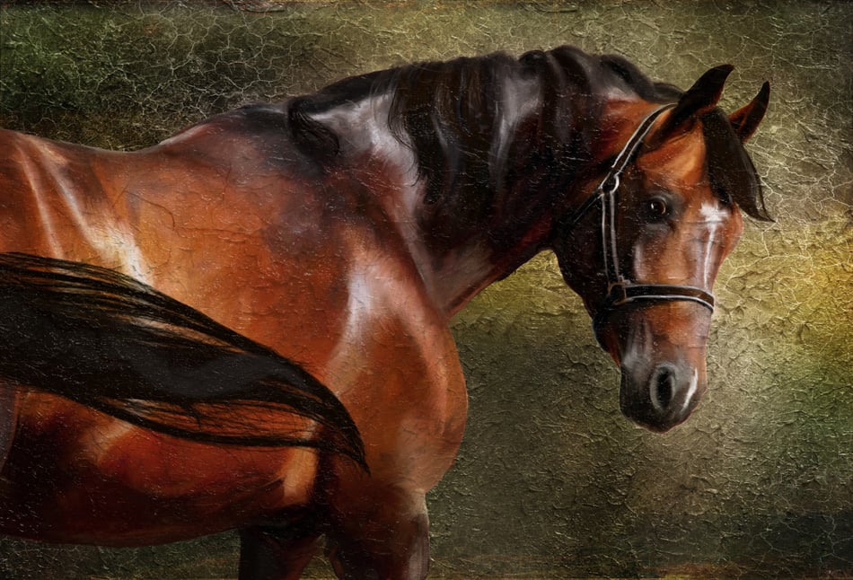 The Thoroughbred classical portrait Simulation