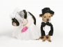 Two Dogs In Wedding Attire Getting Married
