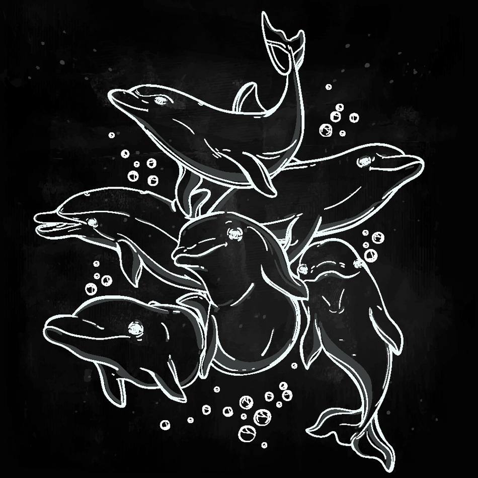 Playful happy beautiful jumping bottle-nose sea dolphins in a group Doodle