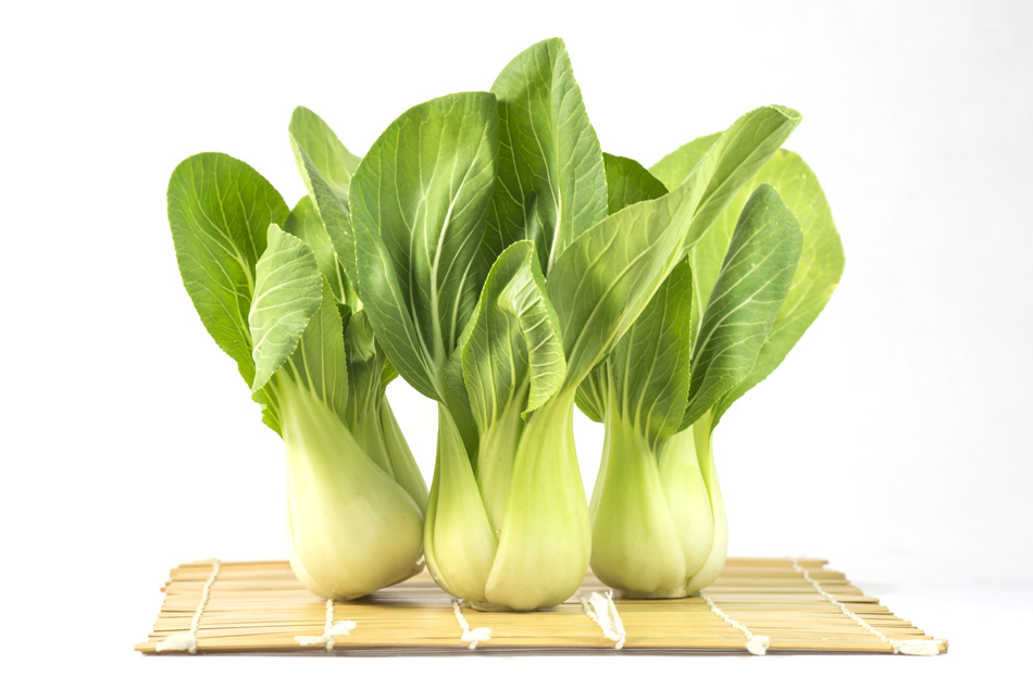 Chinese Vegetable Cabbage Isolated On White