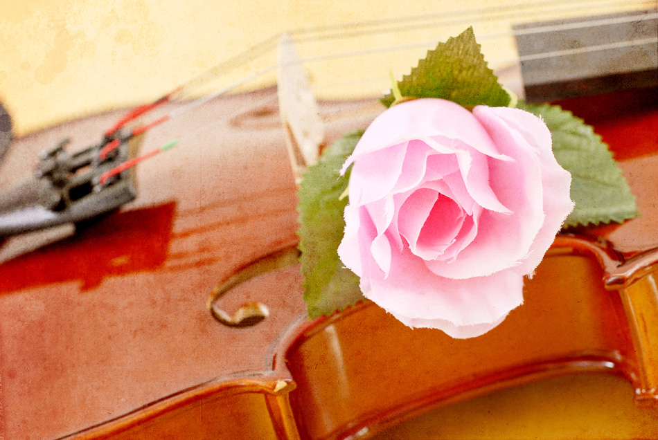 Rose On Violin In Grunged Texture