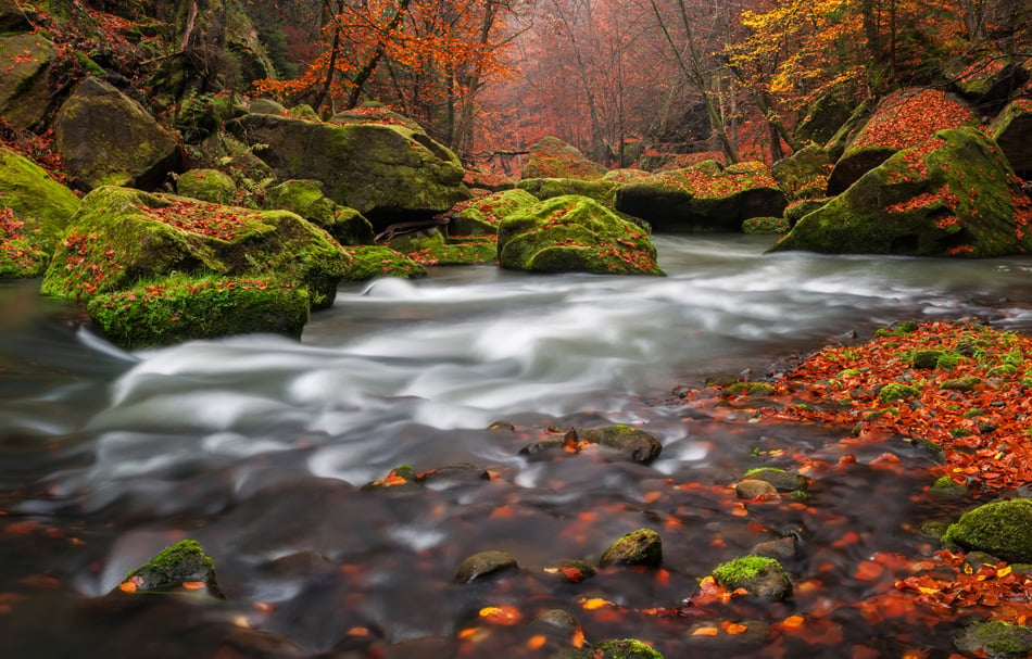 Autumn creek in Czech-Saxony Switzerland