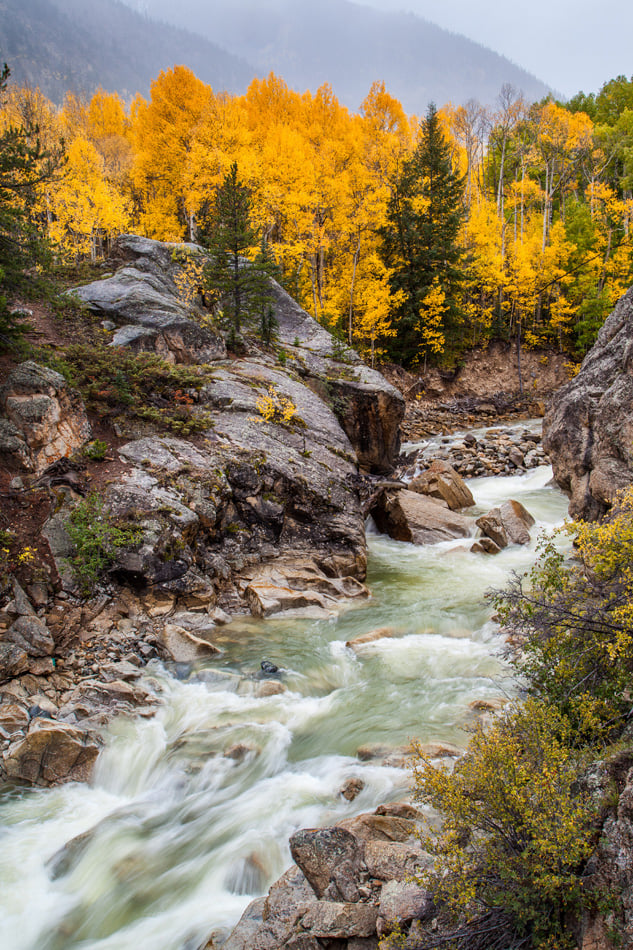 fall color in Colorado mountain Aspen CO