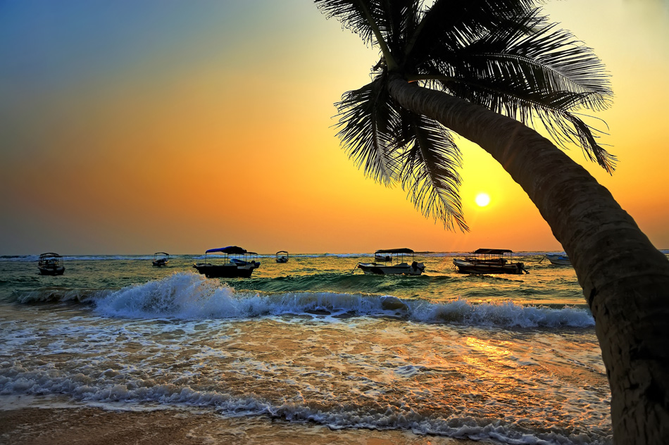 Beautiful tropical sunset with palm trees and boat
