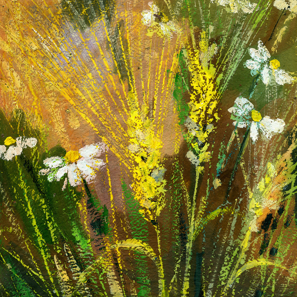 Background Drawing Of Wild Flowers