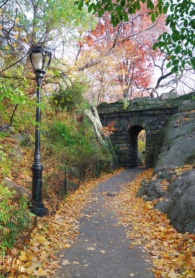 Central Park Path Under Bridge In Fall