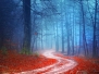 Magic Colorful Autumn Forest Road