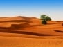 Desert Of North Africa - Sandy Barkhans