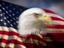 Digital composite: American bald eagle and flag