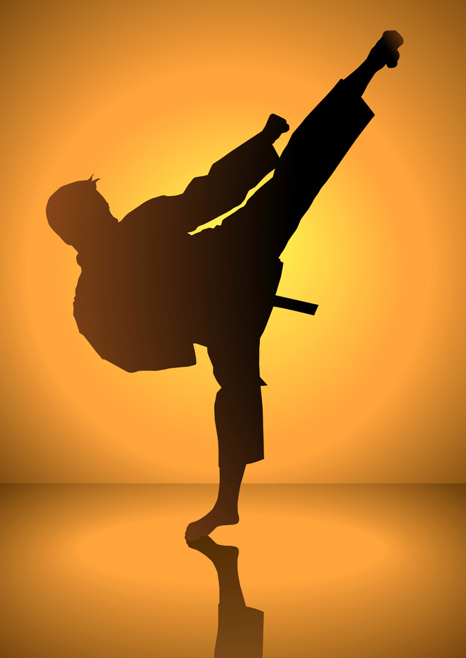 Silhouette Of A Karateka Doing Standing Side K