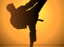 Silhouette Of A Karateka Doing Standing Side K