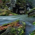 Nature Escape