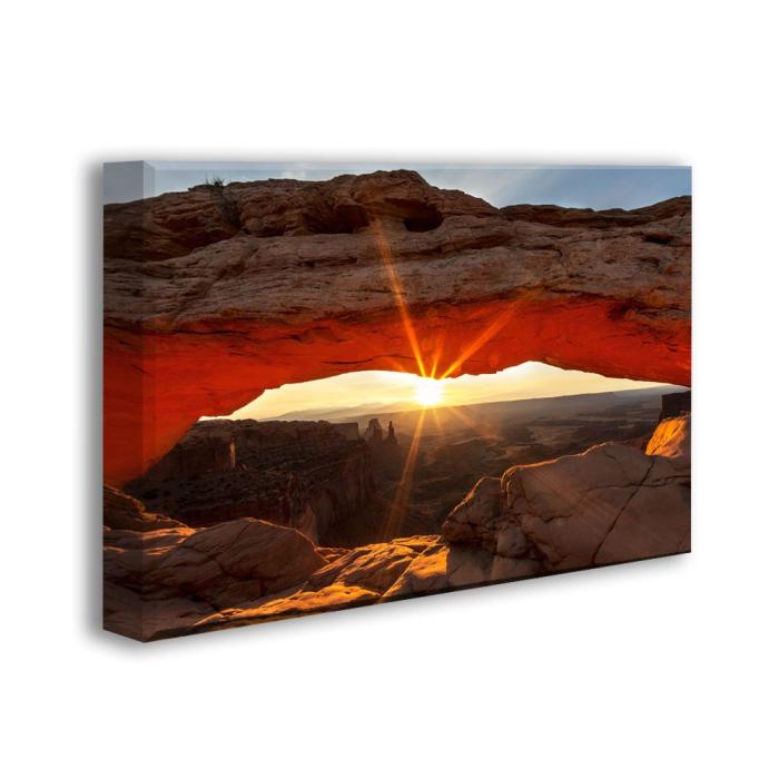 Shop 3'x2'x2 Ready-Made Nature Acoustic Panels | 6 Designs
