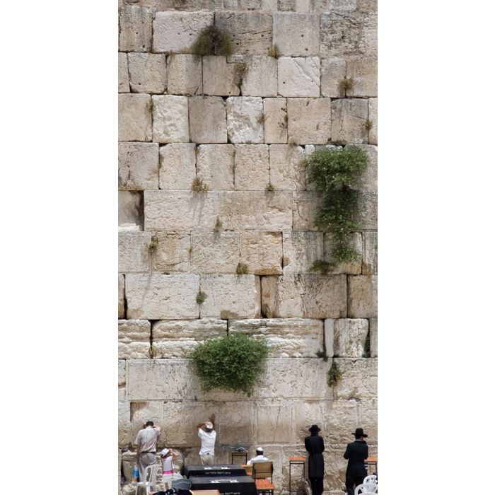 The Jerusalem Wailing Wall - ID # 1132118