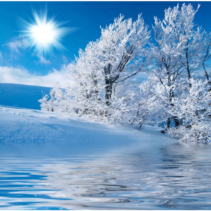 Winter In The Mountains - ID # 11919236