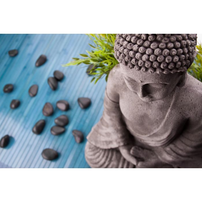 Buddha With Bamboo - Massage Stones And Shell - ID # 22584225