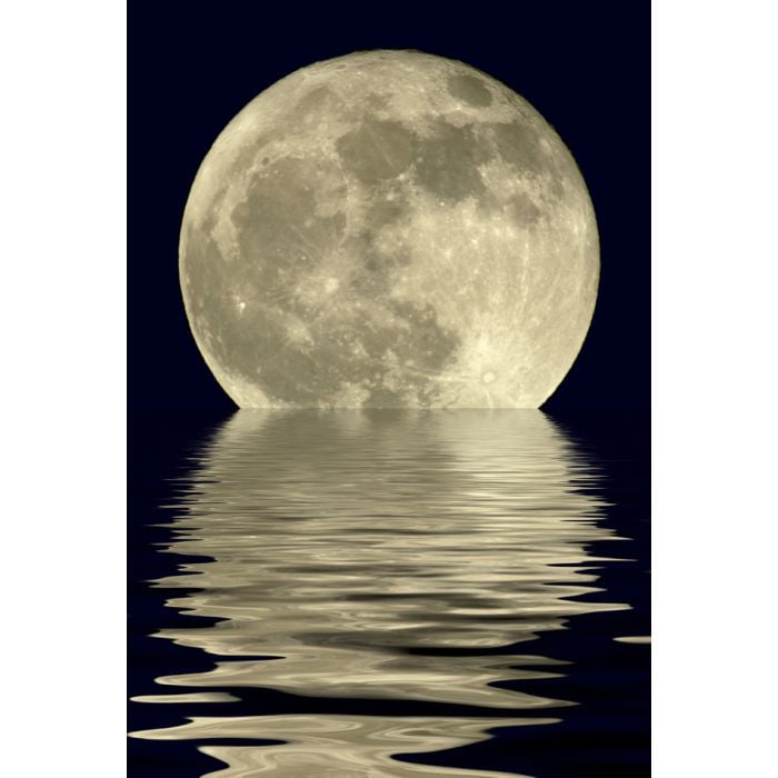 True Full April Moon - Michigan - Usa - ID # 3372142