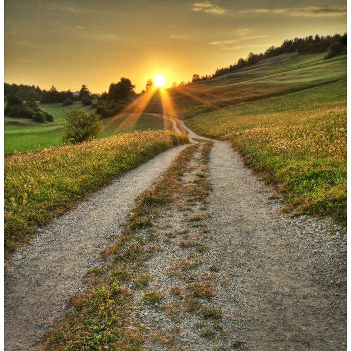 Idyllic sunset on dusty road in countryside - ID # 37271320 Idyllic sunset on dusty road in countryside - ID # 37271320