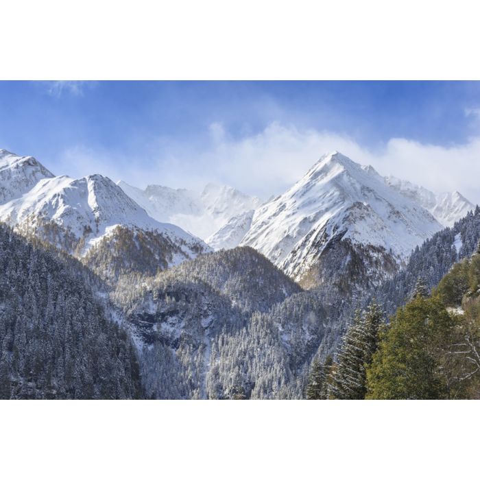 Snowcapped Mountain Peaks And Forests - ID # 44325125