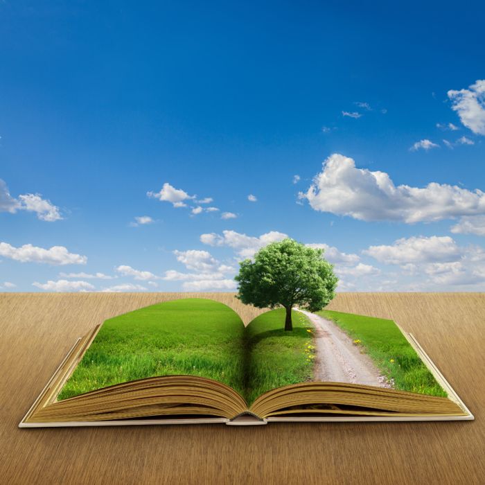 Open Book - ID # 44688822
