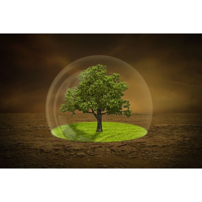 Digital Images Of Nature And Plants - ID # 55948053