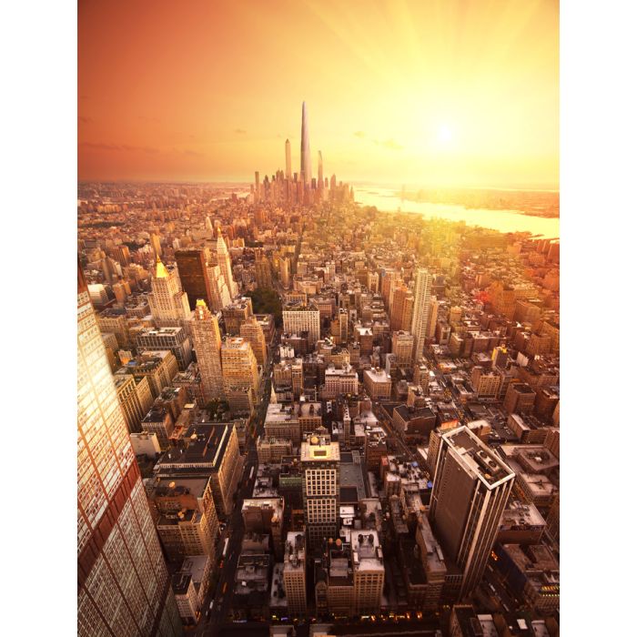 Future New York - ID # 8253840