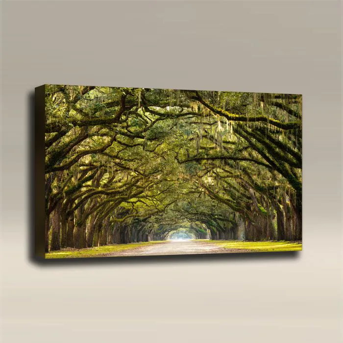 アート・デザイン・音楽 Absolute Landscape A Landscape in 24 Movements | Cooper Hewitt, Smithsonian Design Museum