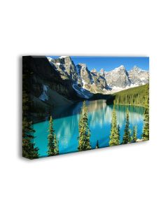 Ready Made 3'x2'x2 Acoustic Art Panels - 6 Nature Themed Styles to choose from