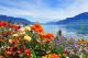 Swiss landscape: flowers mountains and lake - ID # 142338424