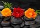 Three ranunculus flower with leaf on black stones - ID # 230947201