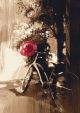 vintage bicycle and red hat on summer day digital painting - ID # 283209146