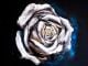 Original pastel drawing-White rose- Modern Art - ID # 292876268