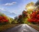 Paved Road In The Autumn Forest - ID # 117589897
