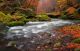 Autumn creek in Czech-Saxony Switzerland - ID # 125347703