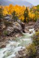 fall color in Colorado mountain Aspen CO - ID # 175260554