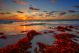 Colorful Early Sunrise Over Beautiful Sea Shore With A Bright Seaweed  - ID # 182440463